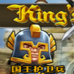 国王护卫兵无敌版