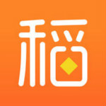 稻子金服