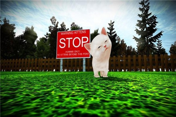 小猫横冲直撞下载 中文版图5