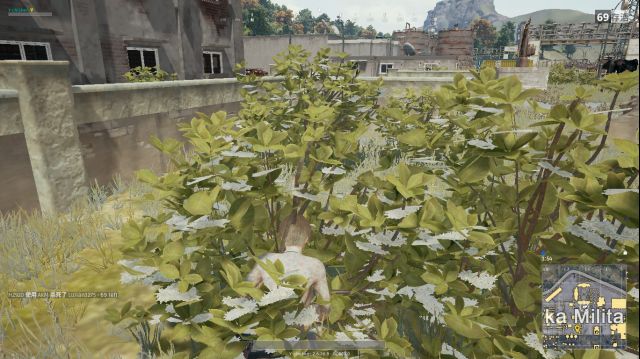 绝地求生大逃杀阴人地点