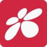 西部证券金鼎智赢 v3.05.001 安卓版