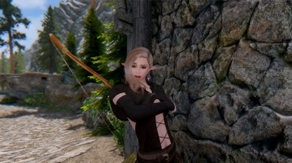 上古卷轴5精灵弓箭手和红眼狂战士美女随从MOD下载 免费版图1