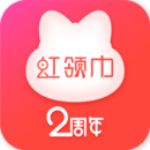 虹领巾