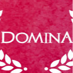 Domina游戏下载 汉化版