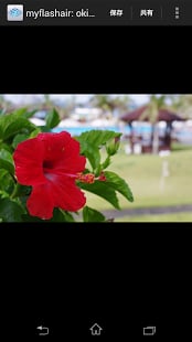 flashair下载 v4.0.0 安卓版图6