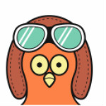 鸽叽下载 v1.1.5 安卓版 