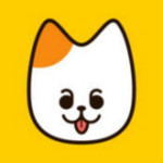 iFme视频app