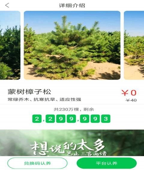 呼唤森林app v2.0.3 安卓版图2