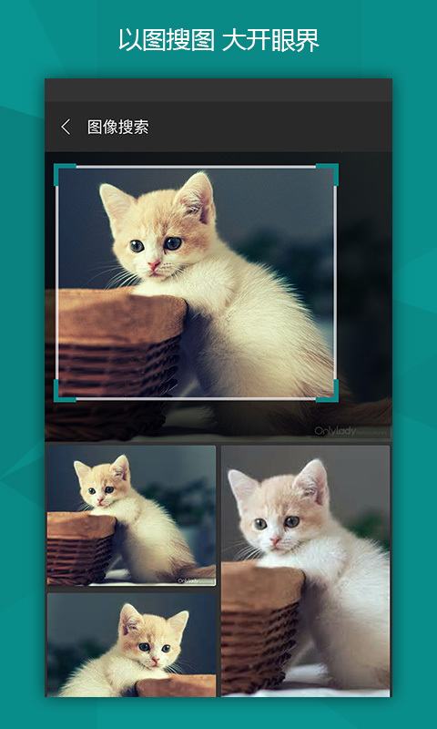 微软必应官方下载 v6.9.4 安卓版图2