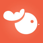 啄米理财app