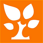 金数据app