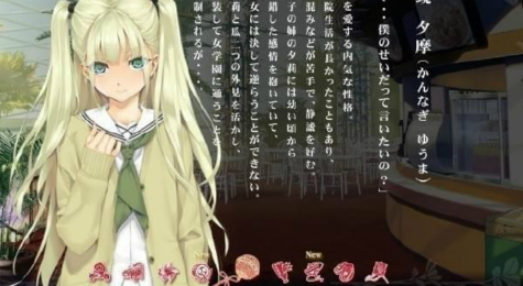 美少女万华镜4运行错误解决方法 美少女万华镜4常见问题及解决办法