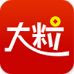 大粒贷app