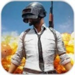 pubg手游 v1.0.0 安卓版