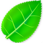 快手视频无水印下载工具