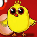 小鸡哔哔