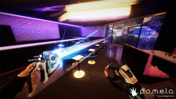 帕梅拉游戏下载 单机中文版图4