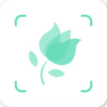 拍照识花app下载 v1.0 安卓版 