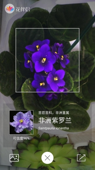 花伴侣app V3.0.3 安卓版图5