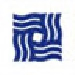 金贝壳网上交易系统下载