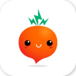 萝卜买车app