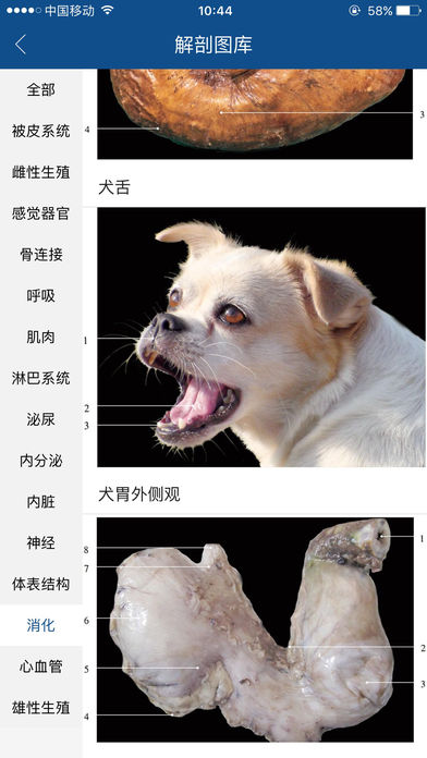 好兽医助手 v6.0.0 安卓版图2