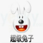 超级兔子2008