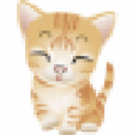 懒猫理财下载