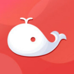 旅视旅游app