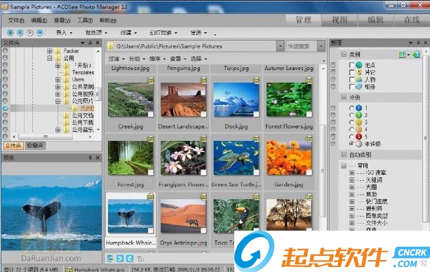 ACDSee12破解版