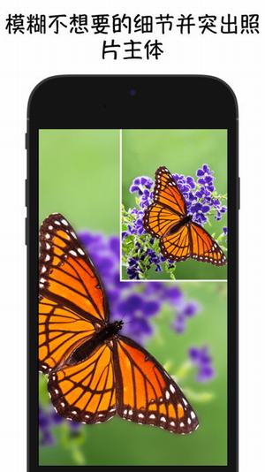 blur photo软件下载 v3.5 最新版图3