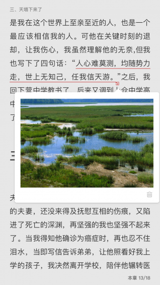 泛媒阅读app v1.6.0 安卓版图3