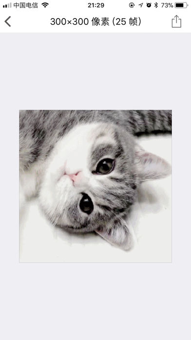 Shu v1.0.5 iPhone版图2