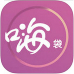 嗨袋app
