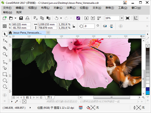 CorelDRAW2017 v19.1.0.419 破解版图1