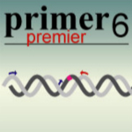 Primer Premier破解版