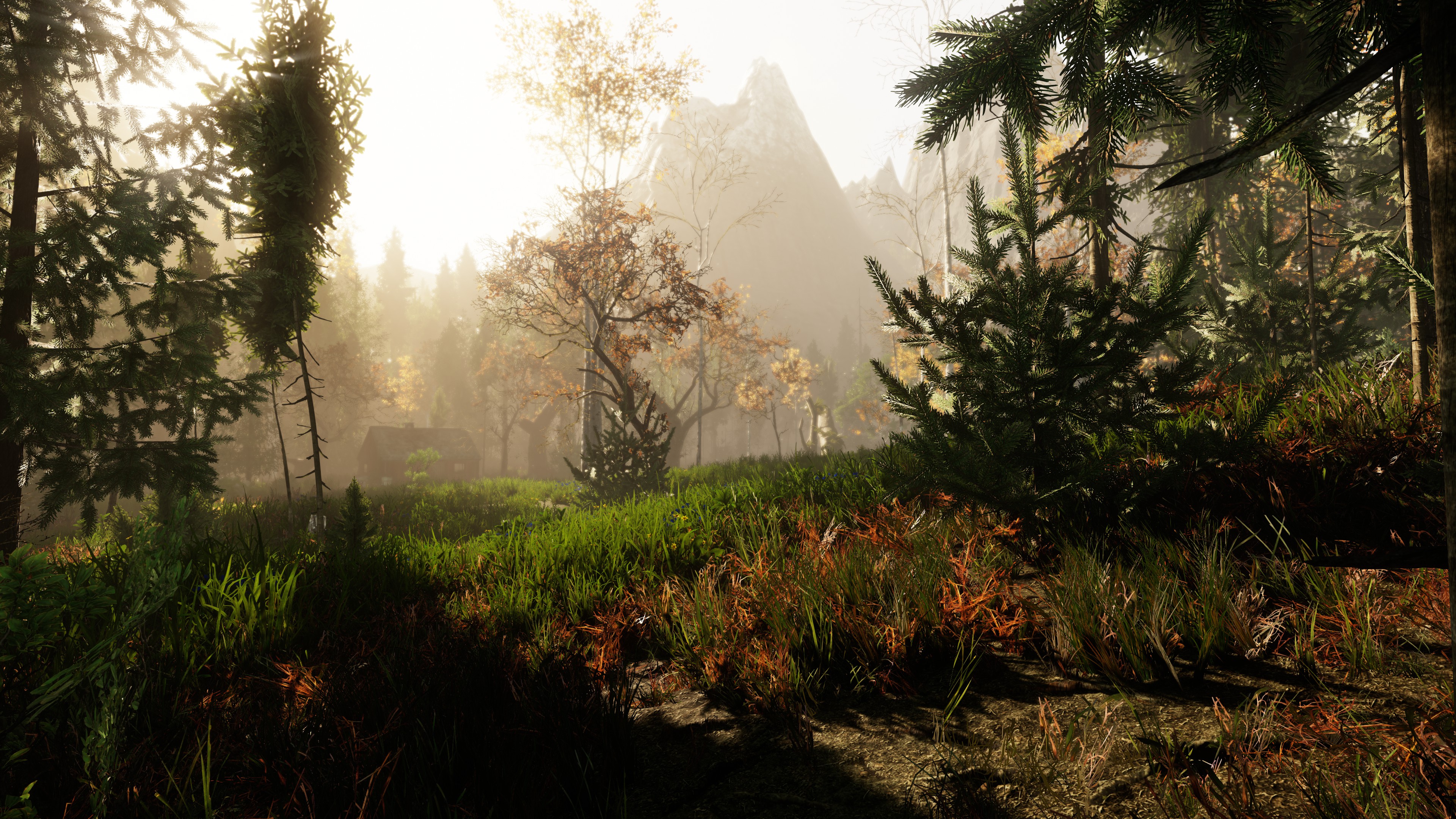 痛苦之地The Land of Pain 免费版图3