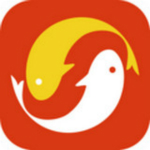 小鱼白条app