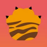 老虎签证app