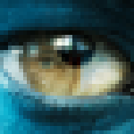 CoCo图像识别 v1.0 官方版 