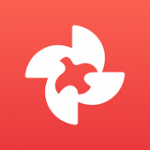 新知青 v2.0 安卓版 