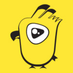 8kg直播官方版