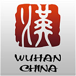 武汉政务助手app