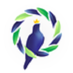 鸽羽林 v2.0.0.20180403 安卓版 