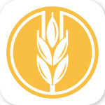麦子巴巴app