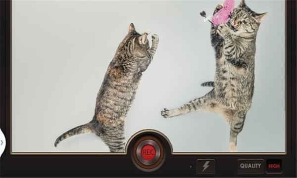 慢动作拍摄 v1.1 安卓版图2