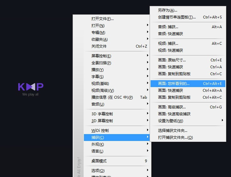 kmplayer plus 2018 官方增强版