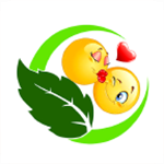 豆豆B v1.1.6 安卓版 