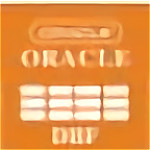 OracleToDbf下载