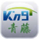青藤 v1.1 安卓版